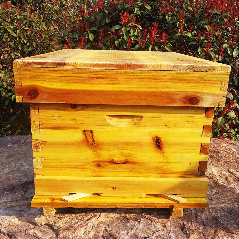 Arı arı kovanı, arıcılık ekipm - Beehive Frame Wax incelemesi ve fiyatı